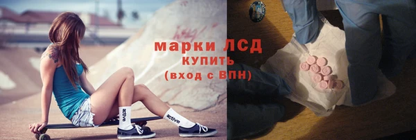 прущие грибы Богданович