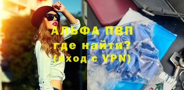 PSILOCYBIN Сясьстрой