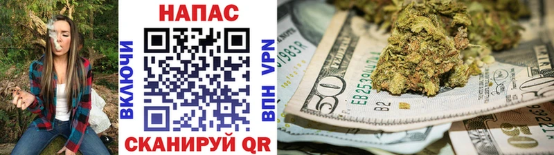 это Telegram  Мглин  Канабис планчик 